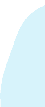 global curriculum, online classes, GCSE/GCE A Levels, US Curriculum, IGCSE/A Level Curriculum, Canadian Curriculum, CBSE / ICSE, ISC Curriculum, Australian Curriculum